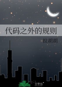 《代码之外的规则》