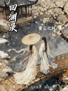 《回淵錄》