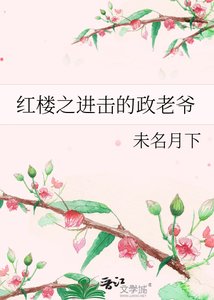 《紅樓之進擊的政老爺》