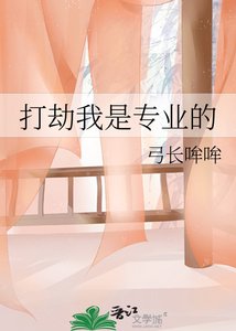 《打劫我是專業的》