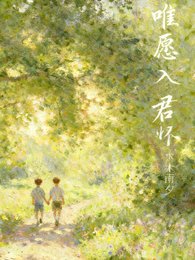 《唯愿入君怀》