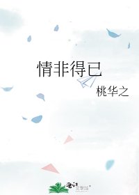 《情非得已》
