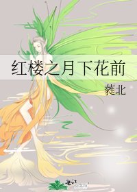《红楼之月下花前》