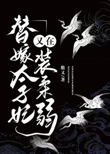 《替嫁太子妃又在装宪弱》