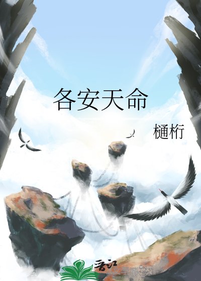 《各安天命》