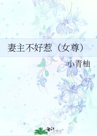 《妻主不好惹(女尊)》