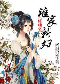 (BG/红楼同人)红楼之谁家新妇