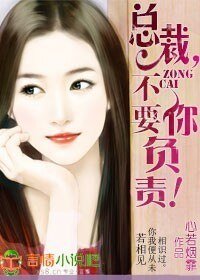 总裁,不要你负责!